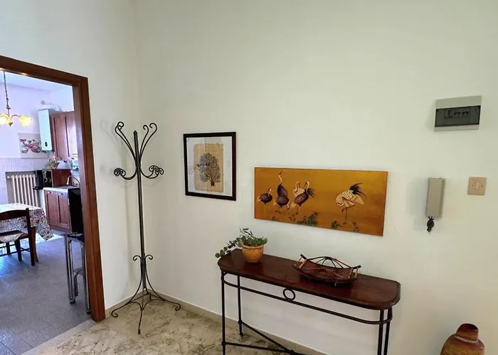 Margherita 64 Pescara